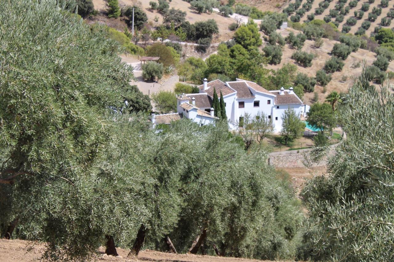 Cortijo La Fe Pensionat Montefrío Exteriör bild